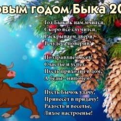 Поздравление с Новым годом 3 S Novim Godom